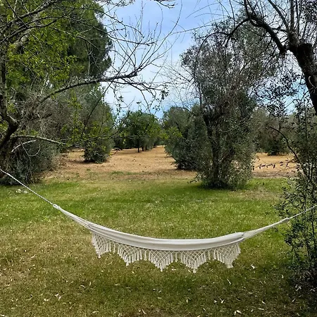 Tenuta Sidore Cursi